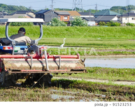 水田を耕運するトラクターと飛来したサギ 水田を耕運するトラクターと飛来したサギ 91523253