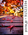 ベンチに落ちる紅葉 91523394
