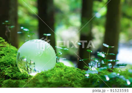 渓流とクリスタル地球儀 渓流とクリスタル地球儀 91523593
