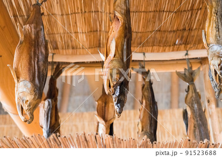 ウポポイ　伝統的コタンのエリア 91523688