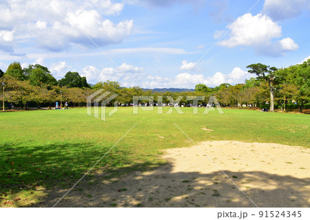 兵庫県姫路城とその周辺の風景 兵庫県姫路城とその周辺の風景 91524345
