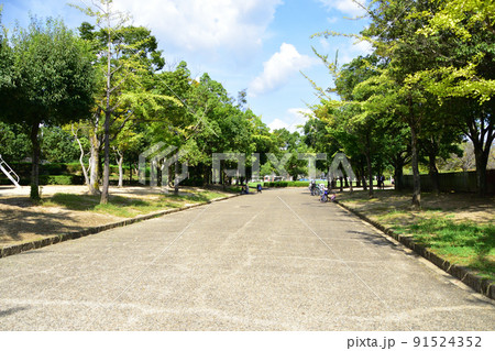 兵庫県姫路城とその周辺の風景 兵庫県姫路城とその周辺の風景 91524352