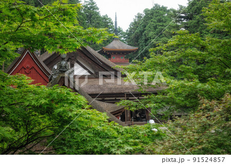 滋賀県近江八幡市「姨綺耶山 長命寺」三重塔、伽藍が見える初夏の風景 滋賀県近江八幡市「姨綺耶山 長命寺」三重塔、伽藍が見える初夏の風景 91524857