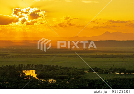くしゃくしゃの夕陽 くしゃくしゃの夕陽 91525102