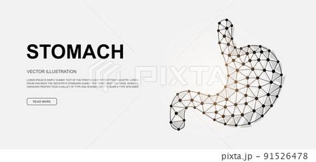 Stomach 3d low poly symbol for landing page template. Digestive system design illustration. Polygonal Organ anatomy illustration for homepage design 91526478