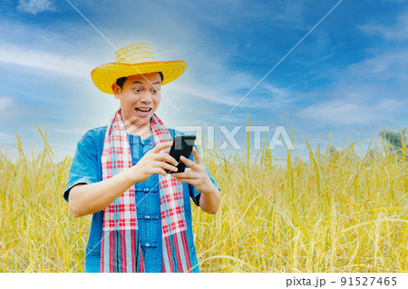 Asian peasants in robes and hats are in a field of golden rice fields. 91527465