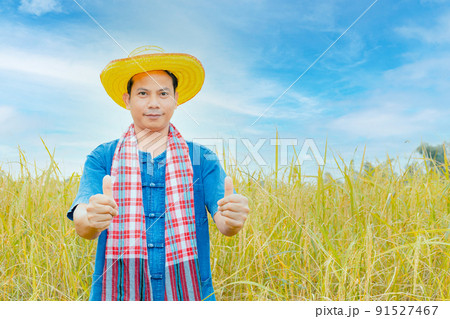 Asian peasants in robes and hats are in a field of golden rice fields. 91527467