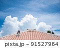 琉球家屋と青空 91527964