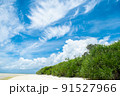 南国の海岸 91527966
