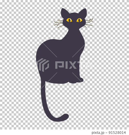 Black cat illustration 91528014