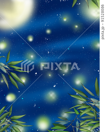 月夜の空　蛍 91528086