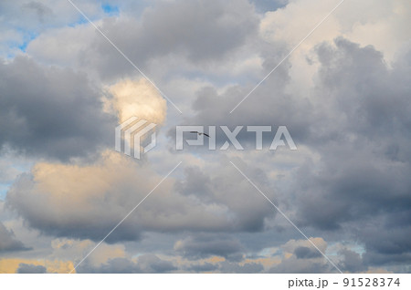 Seagull flying and hovering against a moody dramatic cloudy sky background. Photo of bird on sky Seagull flying and hovering against a moody dramatic cloudy sky background. Photo of bird on sky 91528374