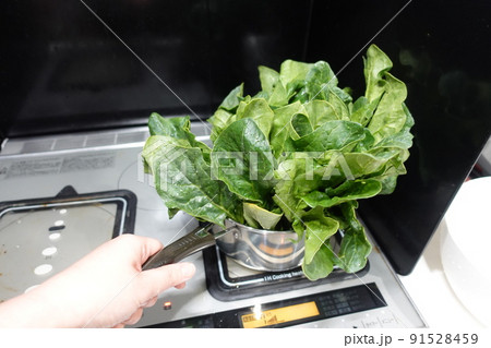 ほうれん草を茹でる ほうれん草を茹でる 91528459