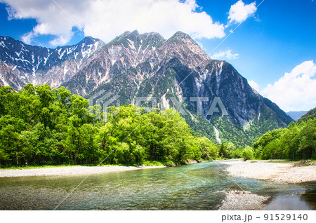 青い空に白い雲、さわやかな6月の風に吹かれて、新緑の美しい若葉を  