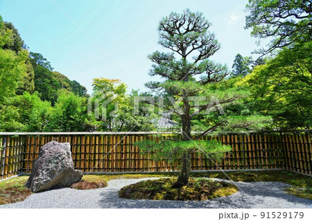 【世界文化遺産】京都・西芳寺（苔寺）6月撮影 91529179