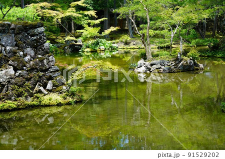 【世界文化遺産】京都・西芳寺（苔寺）6月撮影 91529202