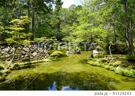【世界文化遺産】京都・西芳寺（苔寺）6月撮影 91529203