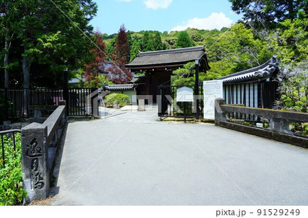 【世界文化遺産】京都・西芳寺(苔寺)6月撮影 【世界文化遺産】京都・西芳寺(苔寺)6月撮影 91529249