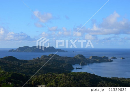 小笠原諸島 母島の乳房山登山道からの展望 小笠原諸島 母島の乳房山登山道からの展望 91529825