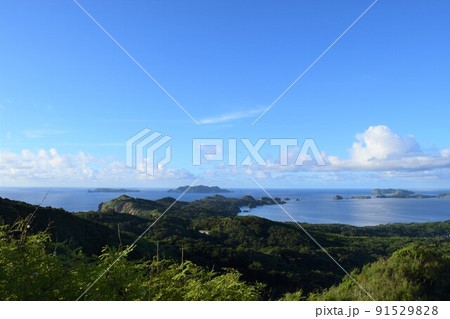 小笠原諸島　母島の乳房山登山道からの展望 91529828