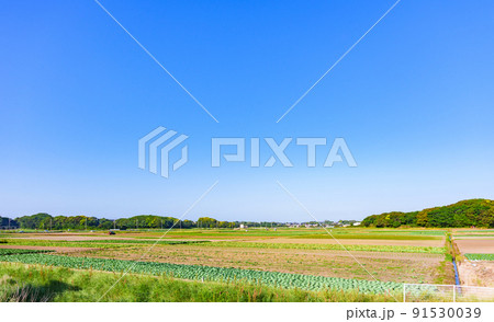 田園風景　畑　農業　【 日本 の 農村 の イメージ 】 91530039