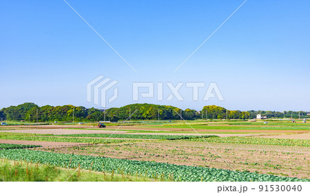 田園風景 畑 農業 【 日本 の 農村 の イメージ 】 田園風景 畑 農業 【 日本 の 農村 の イメージ 】 91530040