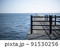行き止まりの桟橋 91530256