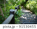 木の階段とわきの草木 91530455