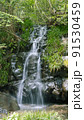 伊豆の小滝 91530459