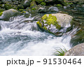 伊豆の河津七滝の清流 91530464