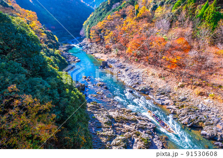 保津峡の紅葉と保津川下り 保津峡の紅葉と保津川下り 91530608