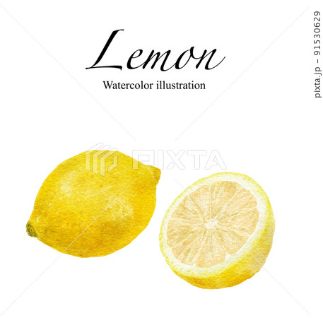 レモンの水彩画イラスト 91530629
