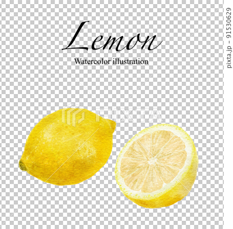 レモンの水彩画イラスト 91530629
