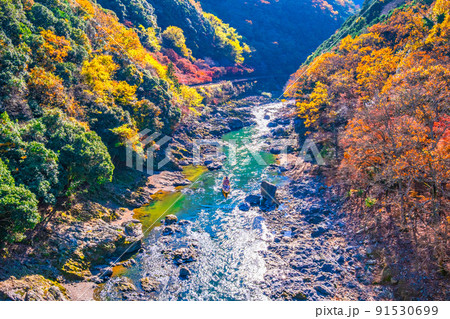 保津峡の紅葉と保津川下り 保津峡の紅葉と保津川下り 91530699