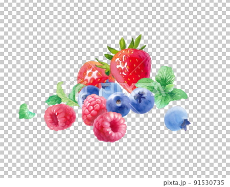 3 種漿果的水彩插圖。覆盆子、草莓、藍莓和薄荷的集合。 91530735