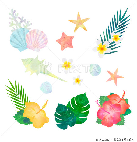 夏の自然素材イラスト(水彩風ベクター) 夏の自然素材イラスト(水彩風ベクター) 91530737