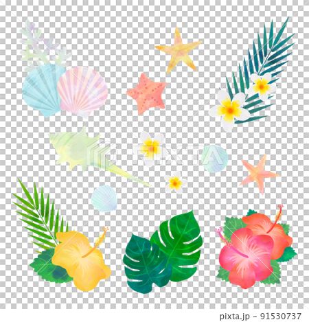 夏季天然素材插畫（水彩風格矢量） 91530737