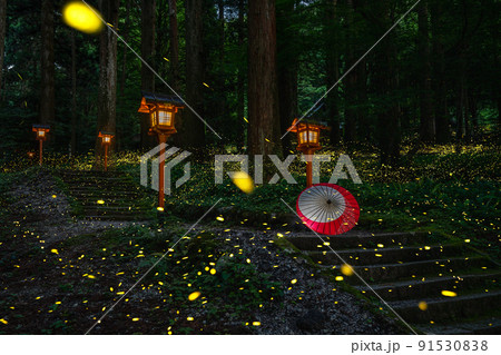 灯篭とヒメボタルと和傘 灯篭とヒメボタルと和傘 91530838