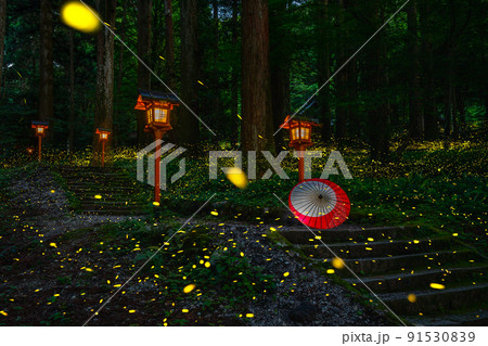 灯篭とヒメボタルと和傘 91530839