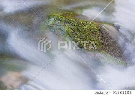 清流 地下水 秋芳洞 湧き水 川の流れ 清流 地下水 秋芳洞 湧き水 川の流れ 91531102