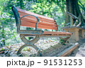 登山道にあるベンチ 91531253