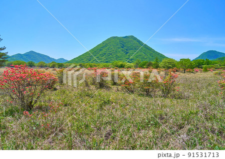 春の群馬県高崎市榛名湖町の磨墨峠(するすとうげ)付近から西側の榛名富士を見る 91531713