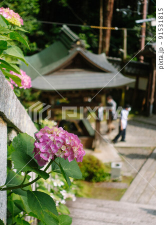 滋賀県近江八幡市「姨綺耶山 長命寺」に咲く紫陽花と手水舎が見える風景 滋賀県近江八幡市「姨綺耶山 長命寺」に咲く紫陽花と手水舎が見える風景 91531815