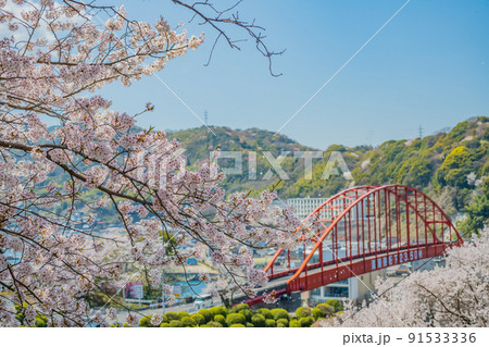 広島・呉・音戸・音戸で花見 広島・呉・音戸・音戸で花見 91533336