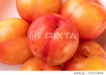 プラム プラム 91533806