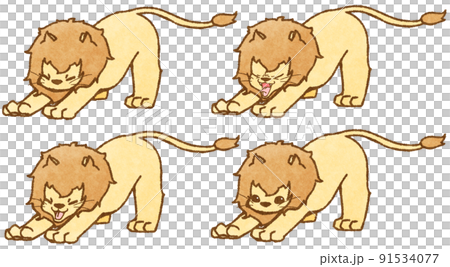 4 patterns of lions that stretch their front legs 91534077