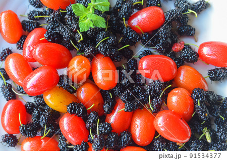グミと桑の実 グミと桑の実 91534377