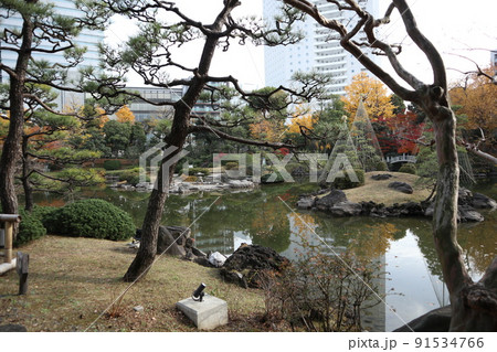 旧安田庭園 91534766