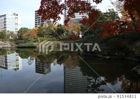 旧安田庭園 91534811