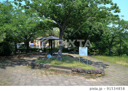 久保田公園（袖ケ浦市） 91534858